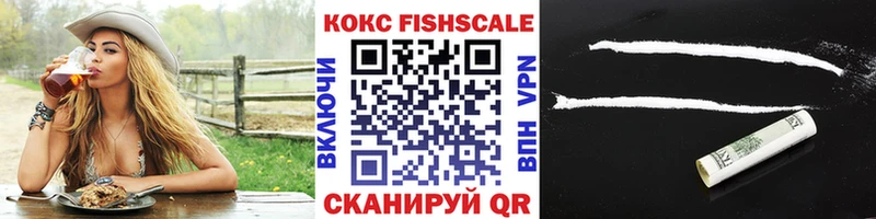 купить   Ижевск  КОКАИН Fish Scale 