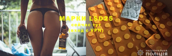 амф Верхний Тагил