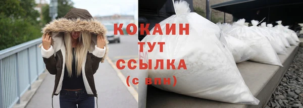 амф Верхний Тагил