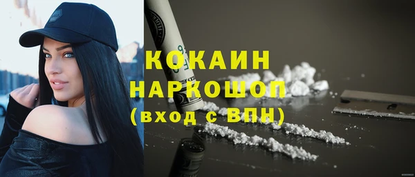 амф Верхний Тагил