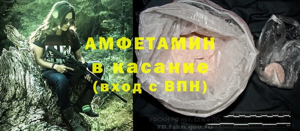 амф Верхний Тагил