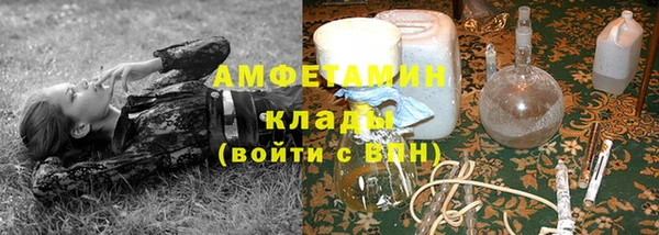 амф Верхний Тагил