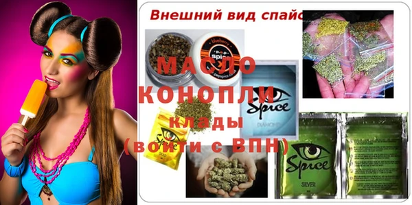 амф Верхний Тагил