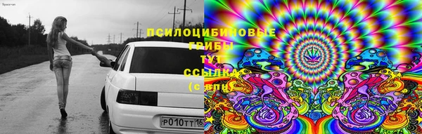 амф Верхний Тагил