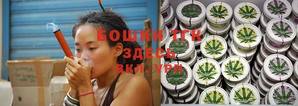 амф Верхний Тагил